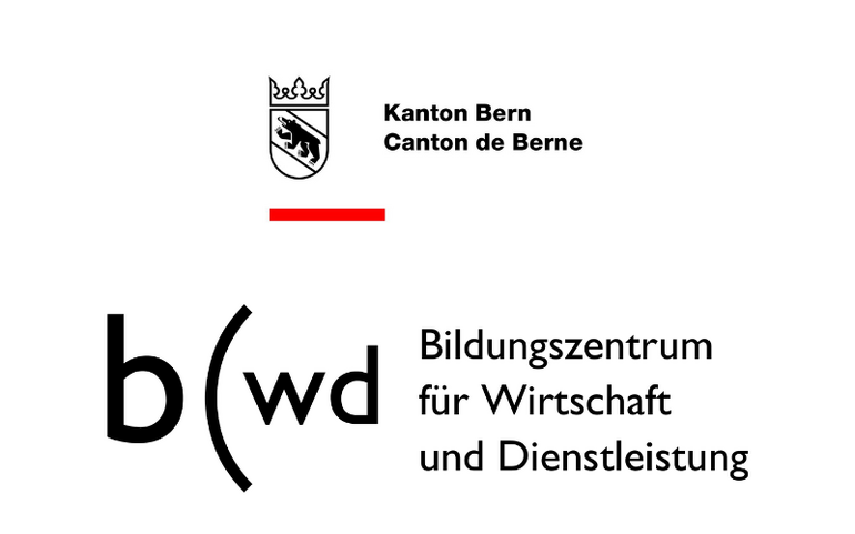 Kindes- und Erwachsenenschutzbehörde Bern (Stadt)