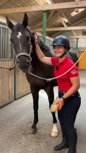 Pferdefachfrau/-mann EFZ, Klassisches Reiten